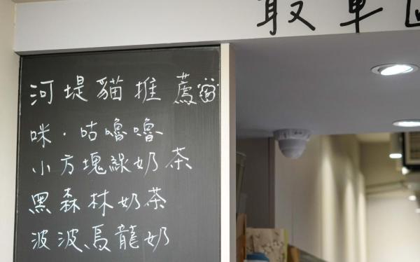 河堤上的貓