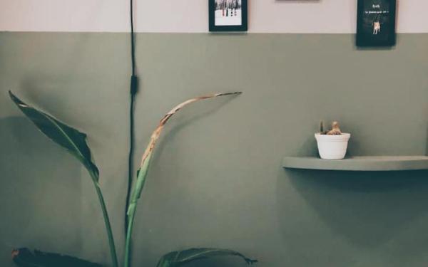 FOX.CONE coffee & bakes