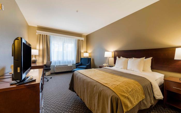 Comfort Inn Auburn - Seattle