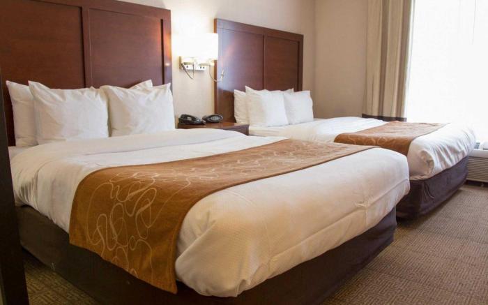 Comfort Suites Fultondale I-65 near I-22