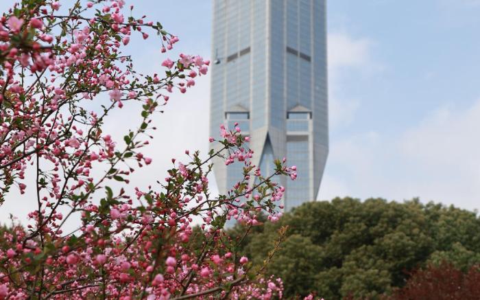 JW Marriott Hotel Shanghai at Tomorrow Square