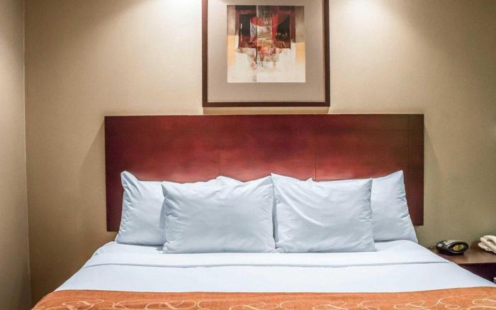 Comfort Suites Perrysburg - Toledo South