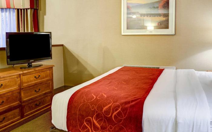 Comfort Suites Near Six Flags Magic Mountain