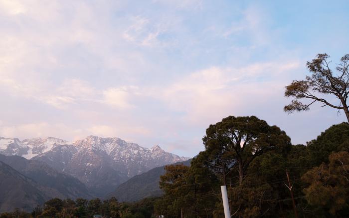 Ketav's Ayush Health Paradise