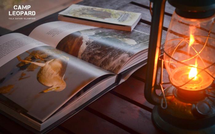 Camp Leopard - Yala Safari Glamping