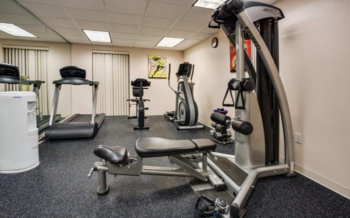 Holiday Inn Express Hotel & Suites Tampa-Oldsmar By IHG