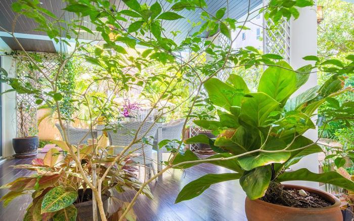 Paradise Pool Villa Pattaya in Tropicana Village