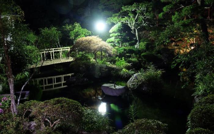 Shukubo Kakurinbo
