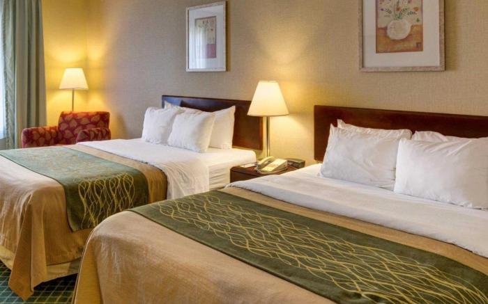 Comfort Inn College Park North