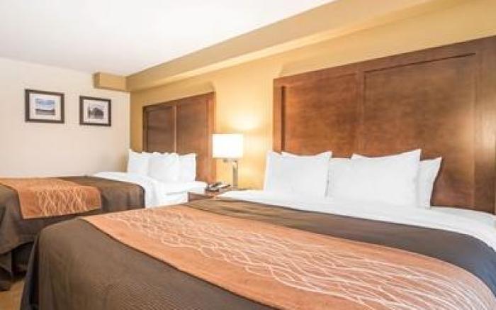 Comfort Inn & Suites Brattleboro I-91