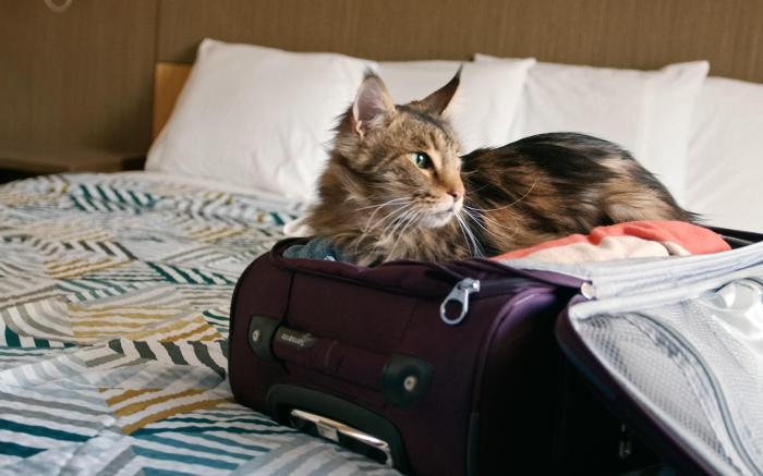Motel 6 San Francisco, CA – Fisherman’s Wharf