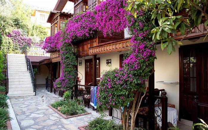 Villa Daffodil Hotel