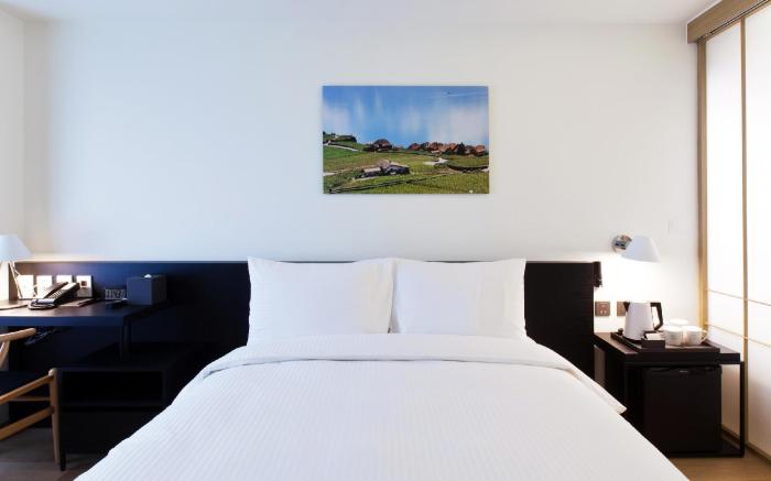 Sotetsu Hotels The Splaisir Seoul Myeong-Dong