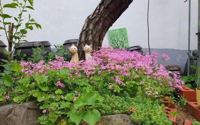 Jeonju Geu-ri-woon Jip Guesthouse