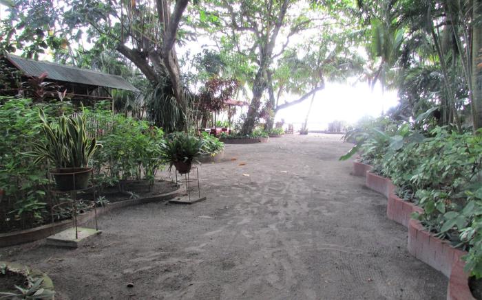 NEWLY RENOVATED!!! Felipa Beach - Bird of Paradise