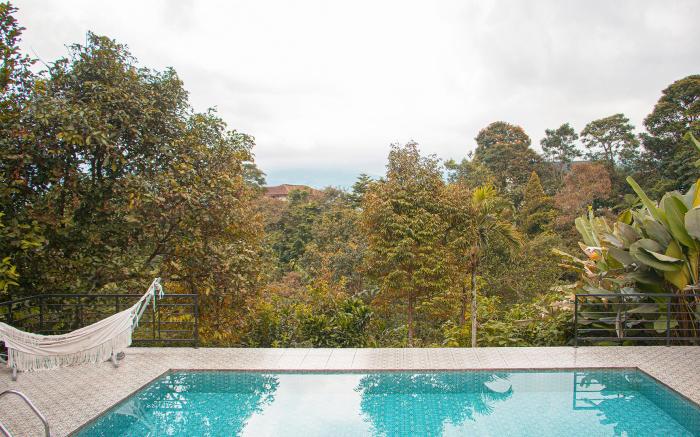 Villa Jenis - Botanical Jungle View