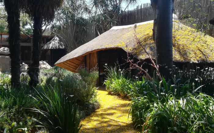 Ikamu's lodge