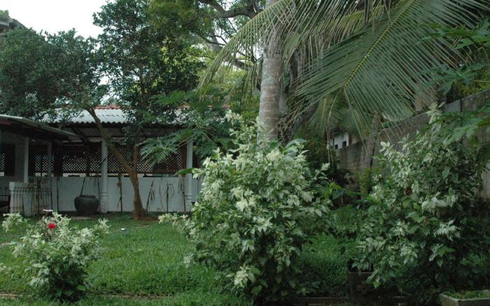 Villa Vidisa Guest House