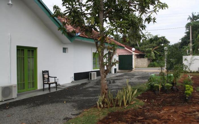 Green Banana Mirissa Hotel