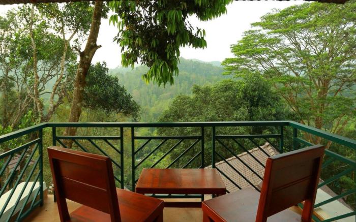 Forest Canopy Resort
