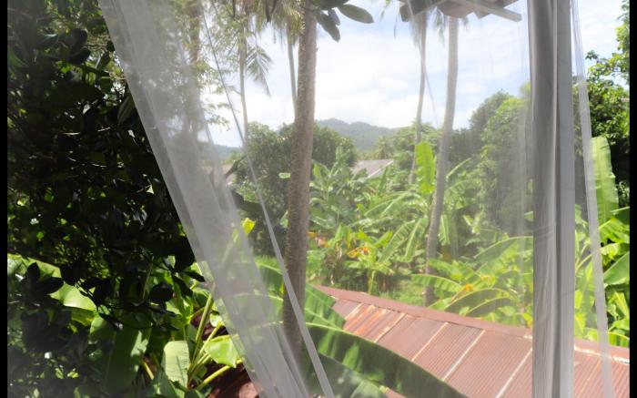 See Sea Backpacker House