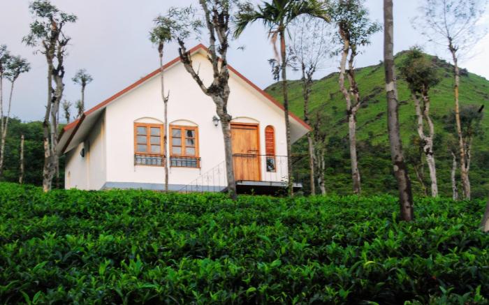 Tea Terrace Vythiri Resort