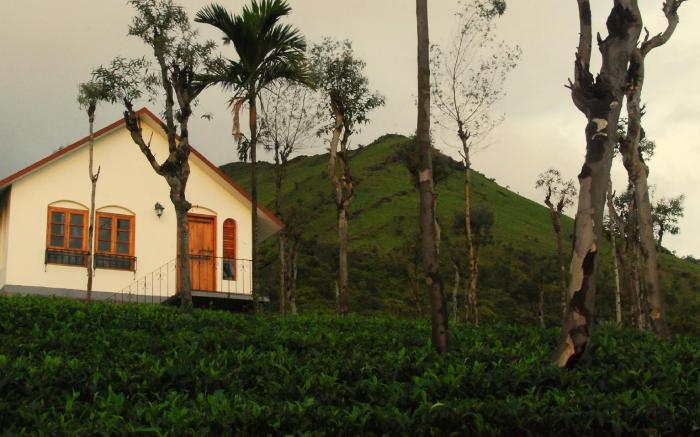 Tea Terrace Vythiri Resort