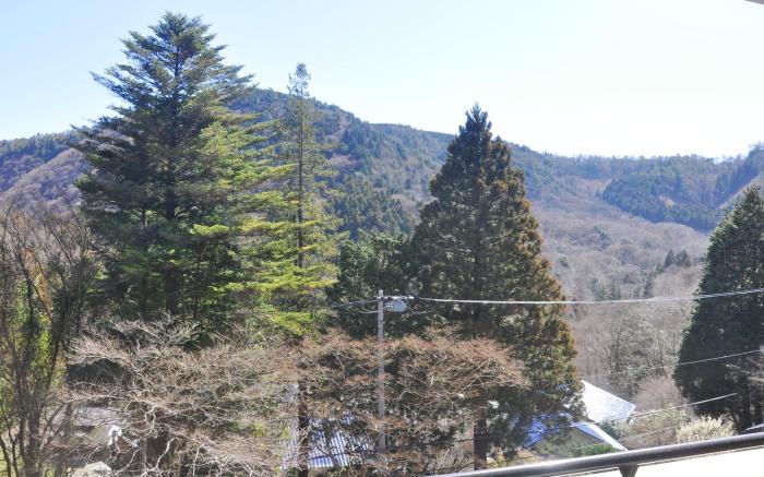 Hakone Kowakien Miyamafurin