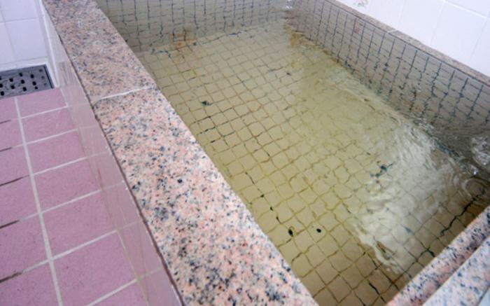 Ryokan Ginrinso Kotobuki