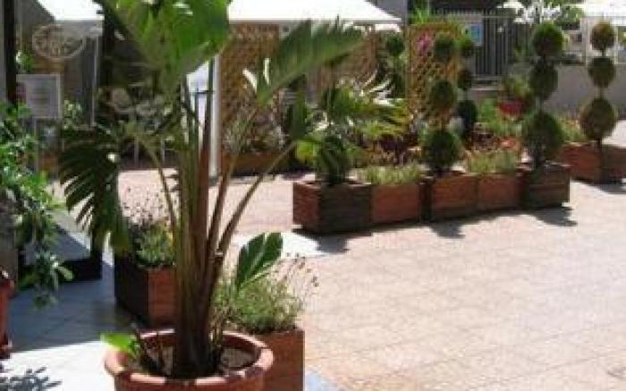 Hotel Costazzurra Museum & Spa