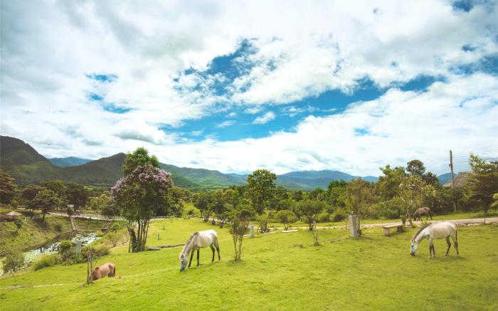 E-outfitting Pai Resort