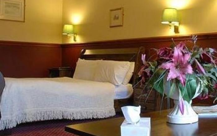 Dog House by Chef & Brewer Collection