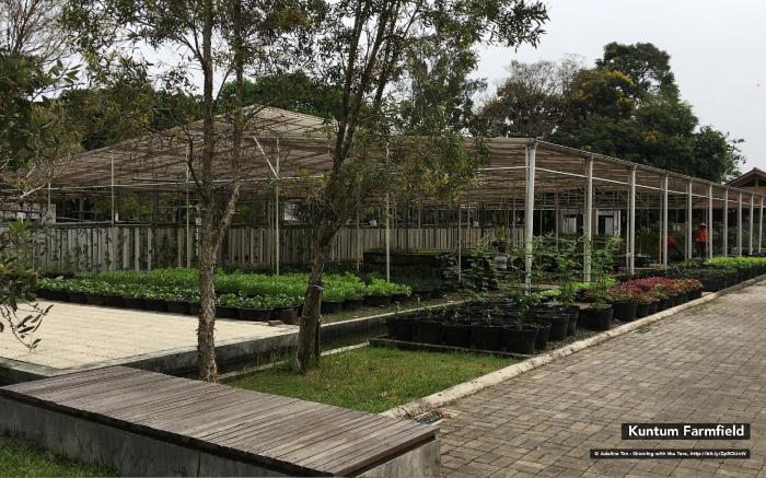 Rumah Verde