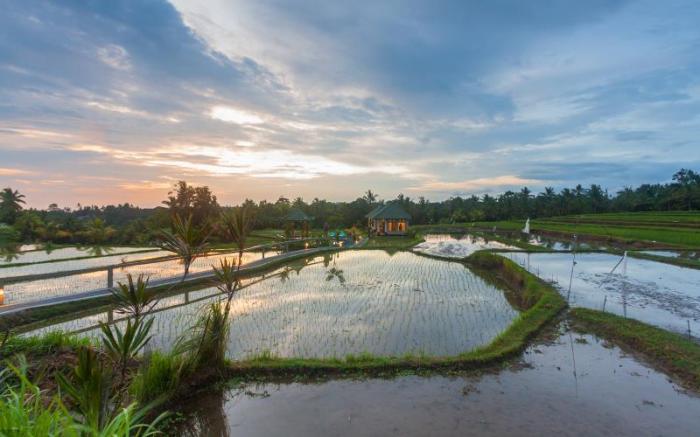 Cahaya Ubud Villa