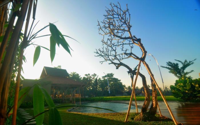 Kabinawa Ubud Villas and Cafe