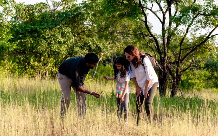 Pashan Garh, A Taj Safari - Panna National Park