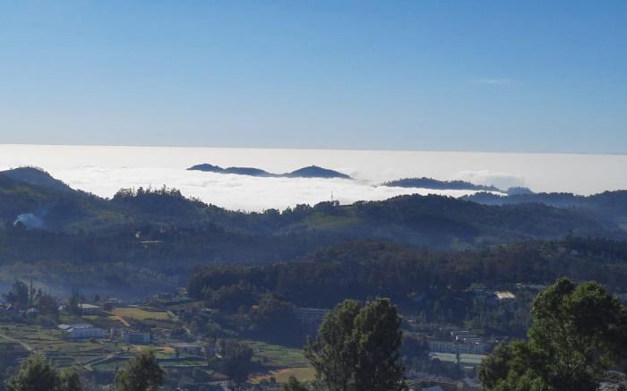 Tulips Valley View Resorts