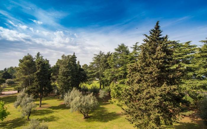 Hotel Sol Umag for Plava Laguna