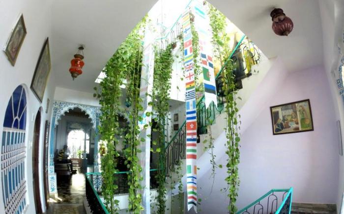 Bunkyard Backpackers Hostel