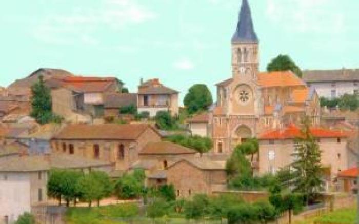 Hotel des Vignes - Julienas