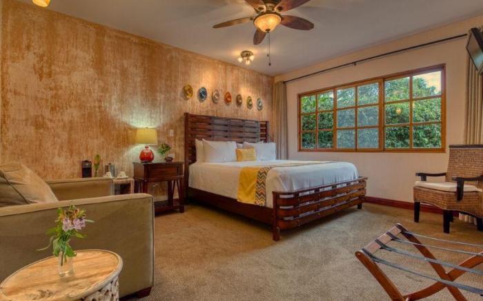 Buena Vista Chic Hotel