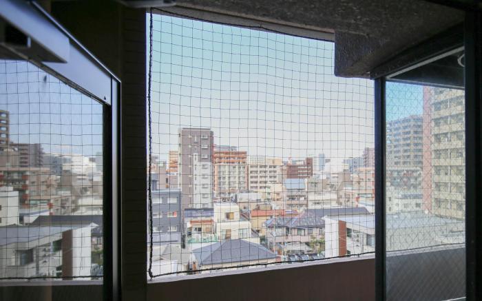 Wings Hakata