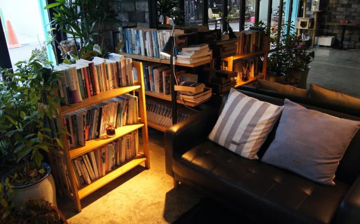 BACKPACKERS IN YEOSU (Korea Quality)