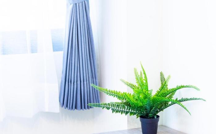 ioio Tainan Homestay