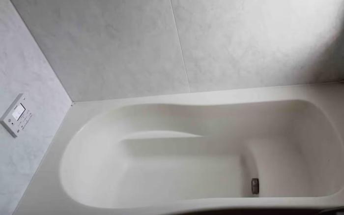 Natural hot springs, walking distance to Tokyo