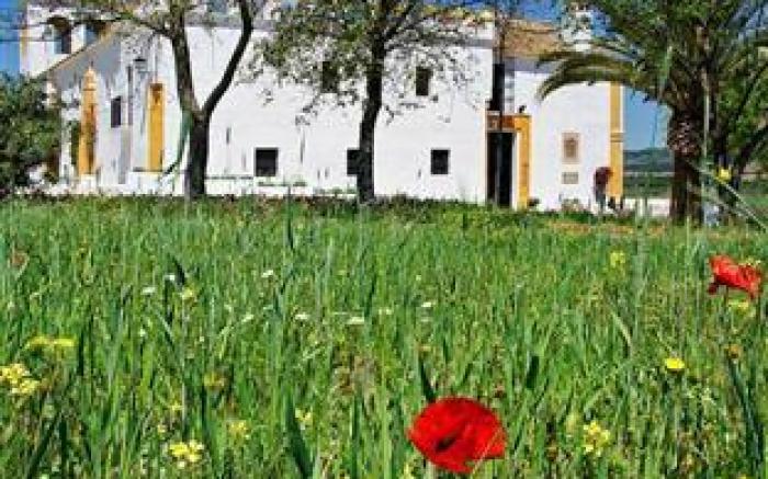 Hacienda el Santiscal
