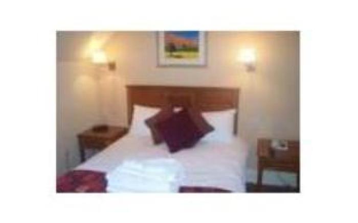 The Dog & Bear Hotel