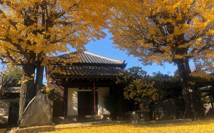 Ueno Nearby Cozy Apartment 101