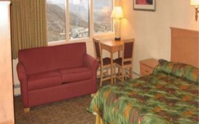 Mountain Chalet Snowmass