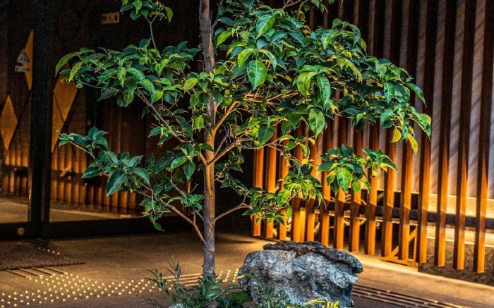 RESI STAY Mayu Grace Hotel